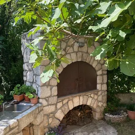 Leda Daire Kraljevica